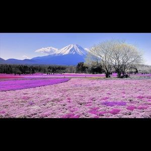 Meet your Posher, Kiara